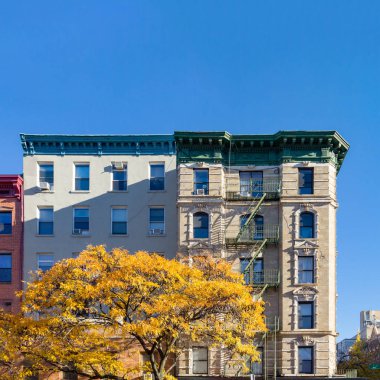 East Village Manhattan, New York City 2 cadde üzerinde eski bir apartmanı önünde renkli sonbahar ağaç ile altın yaprak