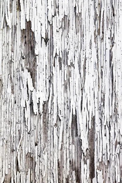 Peeling Texture Peinture Blanche Sur Une Vieille Porte Bois Fissurée — Photo