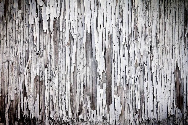 木制墙壁上有裂缝和剥落纹理的白色旧油漆 — 图库照片