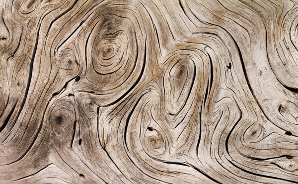 Weathered Wooden Texture Old Tree Branch Twisted Swirly Patterns — Stock Photo, Image