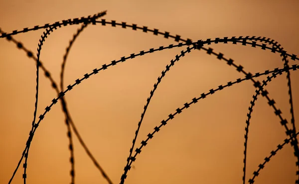 Sharp metal barbed wire at sunset, processed in silhouette style.