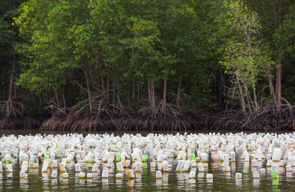 Tayland doğusunda plastik şişe ile Istiridye tarım. — Stok fotoğraf