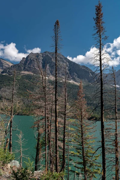 Vackra Landskapet Utsikt Över Mary Sjön Glacier National Park Montana — Stockfoto