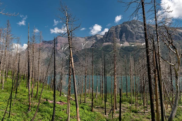 Hermosa Vista Panorámica Del Lago Mary Parque Nacional Glaciar Montana — Foto de Stock