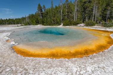 Renkli kaplıcalar Bisküvi Havzasında Yellowstone Milli Parkı, Wyoming, ABD