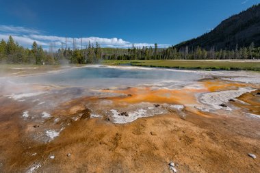 Renkli kaplıcalar Bisküvi Havzasında Yellowstone Milli Parkı, Wyoming, ABD