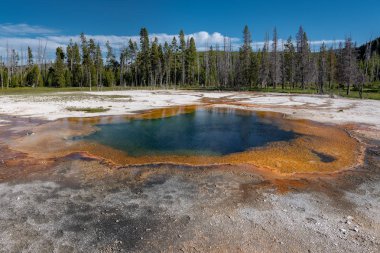 Renkli kaplıcalar Bisküvi Havzasında Yellowstone Milli Parkı, Wyoming, ABD