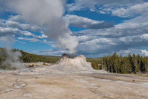 Castle Geyser Parque Nacional Yellowstone Bacia Alto Geyser Wyoming — Fotografia de Stock