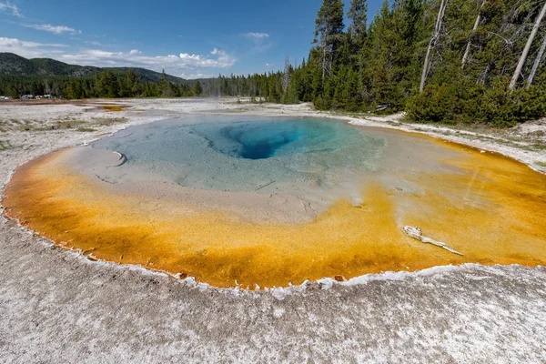 Sources Thermales Colorées Dans Bassin Biscuit Dans Parc National Yellowstone — Photo