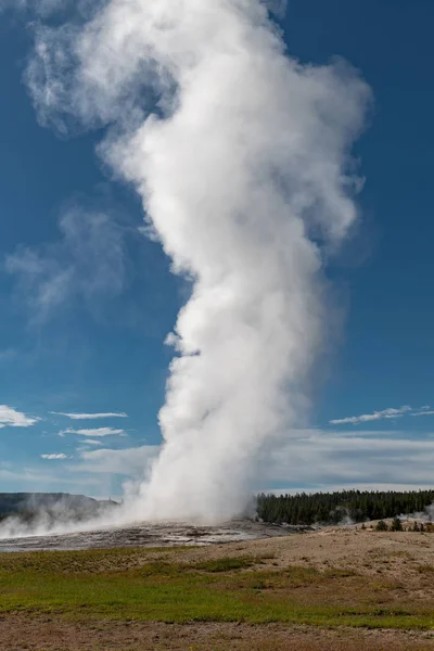 Eruzione Del Vecchio Geyser Fedele Parco Nazionale Yellowstone Usa — Foto Stock
