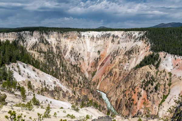 Grand Canyon Dello Yellowstone Nel Parco Nazionale Yellowstone Wyoming — Foto Stock