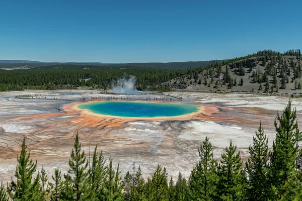 Grande Primavera Prismática Fontes Termais Parque Nacional Yellowstone Wyoming Estados — Fotografia de Stock