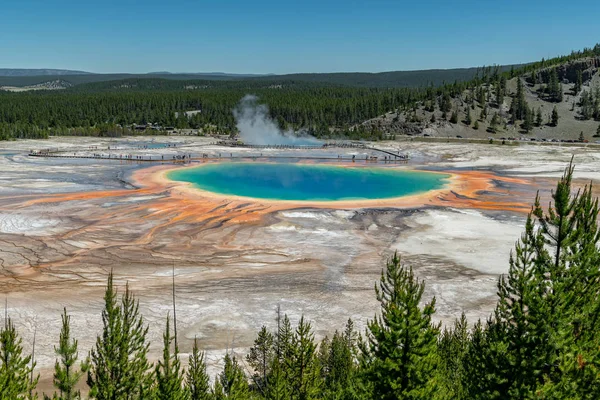 Grande Primavera Prismática Fontes Termais Parque Nacional Yellowstone Wyoming Estados — Fotografia de Stock