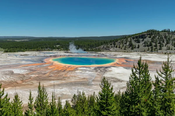 Grande Primavera Prismática Fontes Termais Parque Nacional Yellowstone Wyoming Estados — Fotografia de Stock