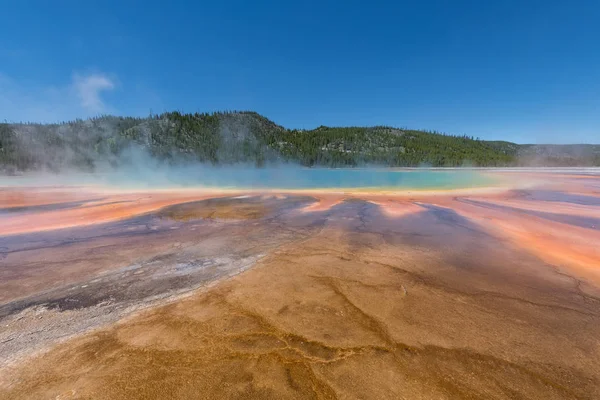 Grande Primavera Prismática Fontes Termais Parque Nacional Yellowstone Wyoming Estados — Fotografia de Stock