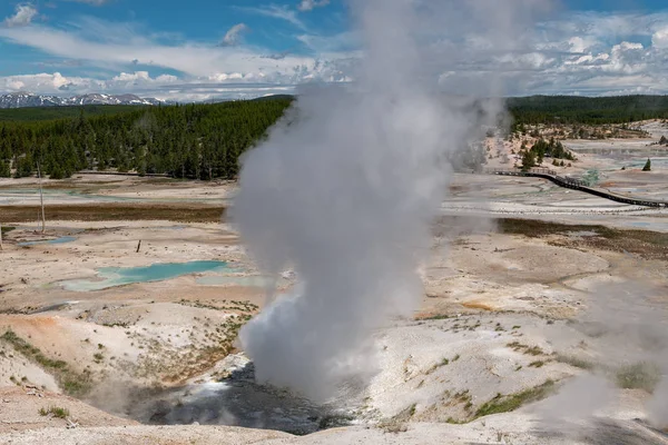 Norris Geyser Basin Parco Nazionale Yellowstone Stati Uniti — Foto Stock