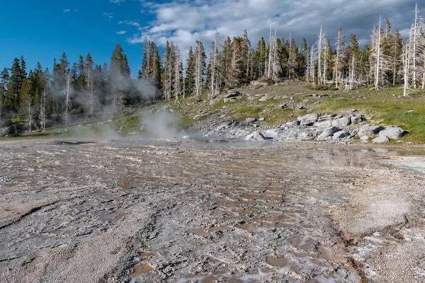 Old Fedele Upper Geyser Basin Parco Nazionale Yellowstone — Foto Stock