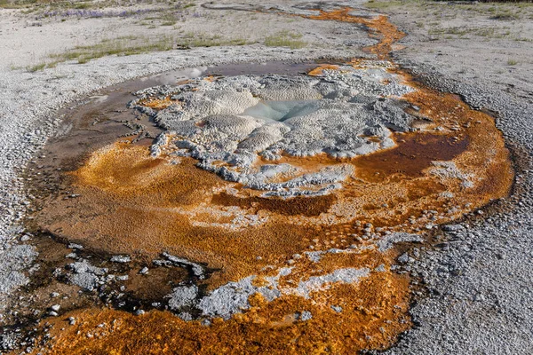 Eski sadık ve üst şofben Havzası - Yellowstone Milli Parkı