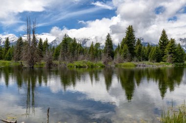 Onun yansıması ile sabah erken iniş Schwabacher. Grand Teton Milli Parkı, Wy
