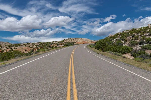 Road Leading Bighorn Mountain Recreation Area Northern Wyoming — Stock Photo, Image