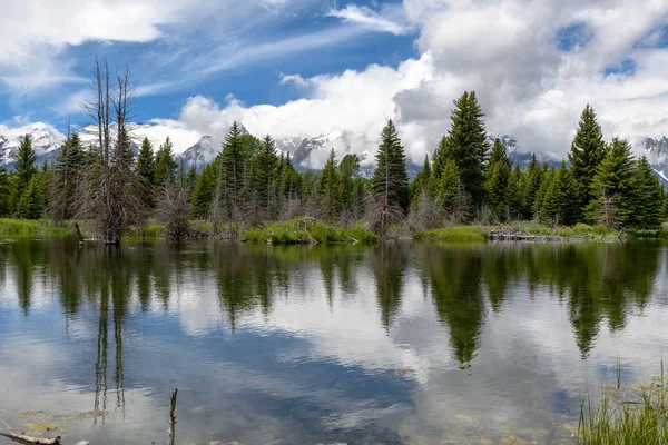 Onun Yansıması Ile Sabah Erken Iniş Schwabacher Grand Teton Milli — Stok fotoğraf