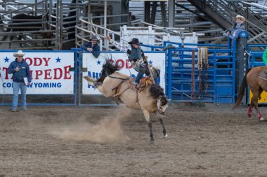 Cody, Wyoming - 29 Haziran 2018: Cody izdiham Park arena. Cody Rodeo Capitol dünya var. 2018 işaretleri 80 yıldönümü her gece performansları.