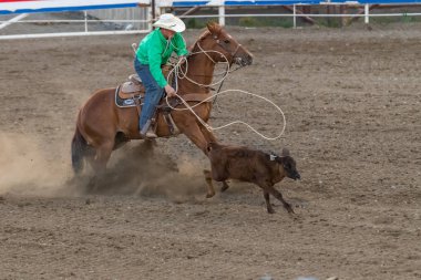 Cody, Wyoming - 29 Haziran 2018: Cody izdiham Park arena. Cody Rodeo Capitol dünya var. 2018 işaretleri 80 yıldönümü her gece performansları.