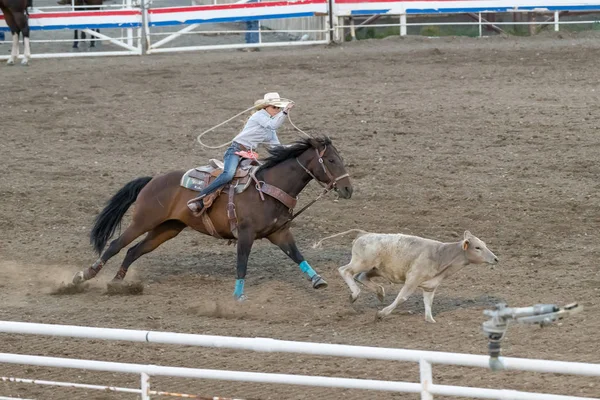 Cody Wyoming June 2018 Cody Stampede Park Arena Cody Rodeo — стокове фото