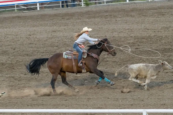 Cody Wyoming June 2018 Cody Stampede Park Arena Cody Rodeo — Stock Photo, Image