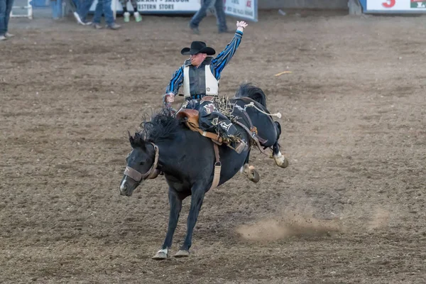 Cody Wyoming Junio 2018 Cody Stampede Park Arena Cody Capitolio —  Fotos de Stock