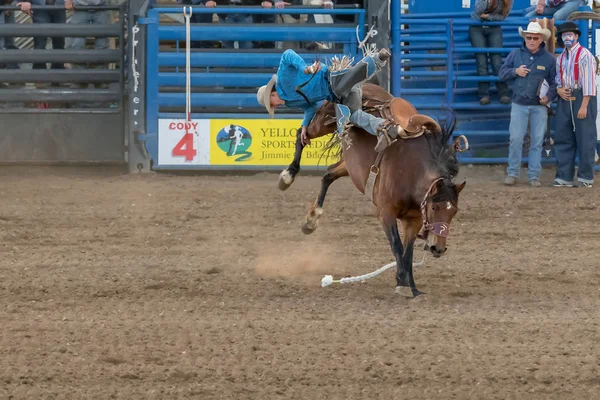 Cody Wyoming June 2018 Cody Stampede Park Arena Cody Rodeo — Stock Photo, Image