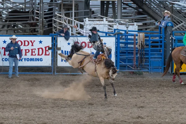 Cody Wyoming June 2018 Cody Stampede Park Arena Cody Rodeo — Stock Photo, Image