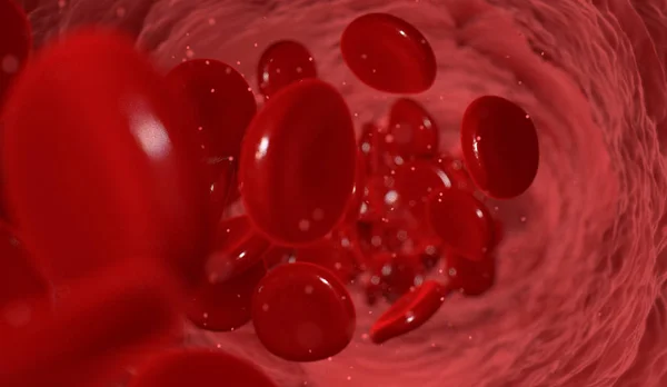 Macro Closeup Blood Vein Red Blood Cells Flowing Render — Stock Photo, Image