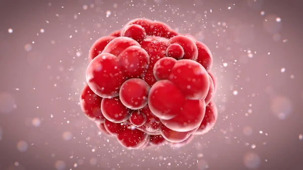 Zbliżenie Makro Miąższ Czerwony Komórki Organizmie Różnych Wielkości Guzów Dołączone — Zdjęcie stockowe