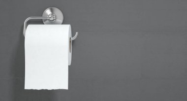 Rulo bir krom tuvalet kağıdı tutucu izole bir beyaz üzerine asılı beyaz tuvalet kağıdı dokulu arka plan - 3d render