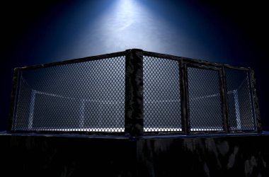 MMA kafes gece