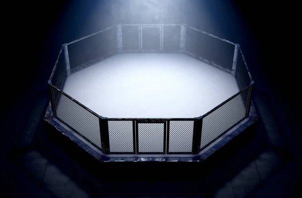 MMA Cage Nuit — Photo