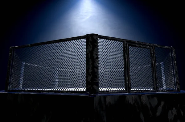 MMA Cage Nuit — Photo