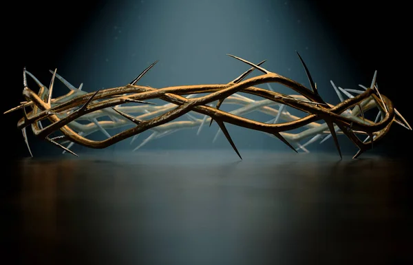 Crown Of Thorns — Stock Photo, Image