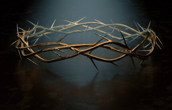Crown Of Thorns
