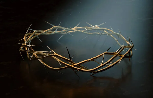 Crown Of Thorns — Stock Photo, Image