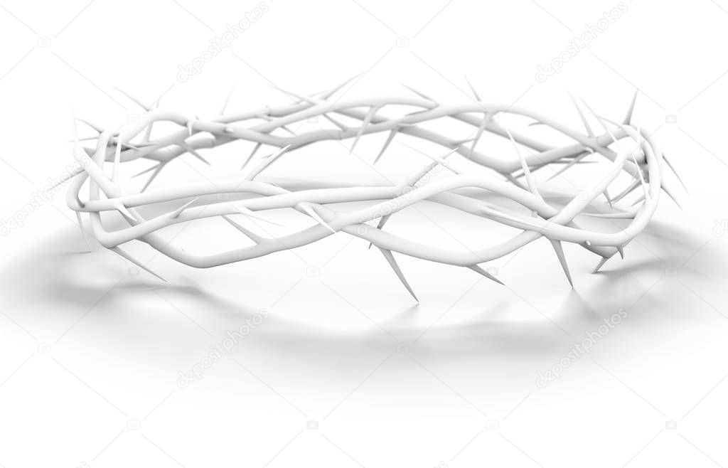 Crown Of Thorns White