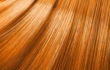 Zencefil Saç Üfleme Closeup