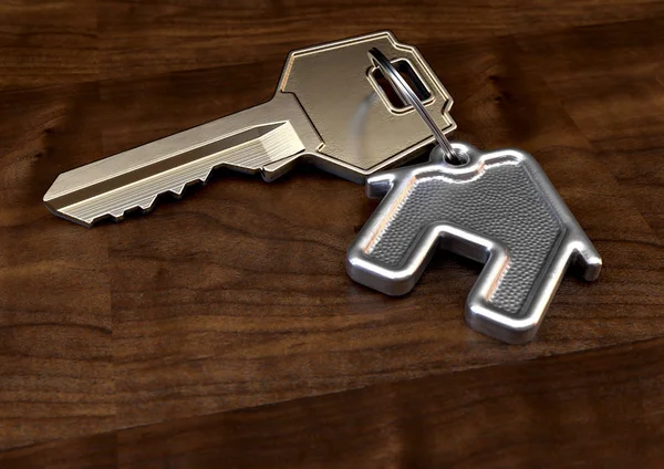 Nyckel och hus nyckelring — Stockfoto