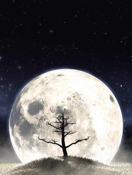 A concept image showing a dead leafless tree on a grassy hill at night on the backdrop of a full moon and starry night background - 3D render