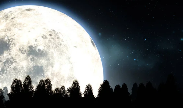 Pełnia księżyca nad wierzchołkami drzew — Zdjęcie stockowe