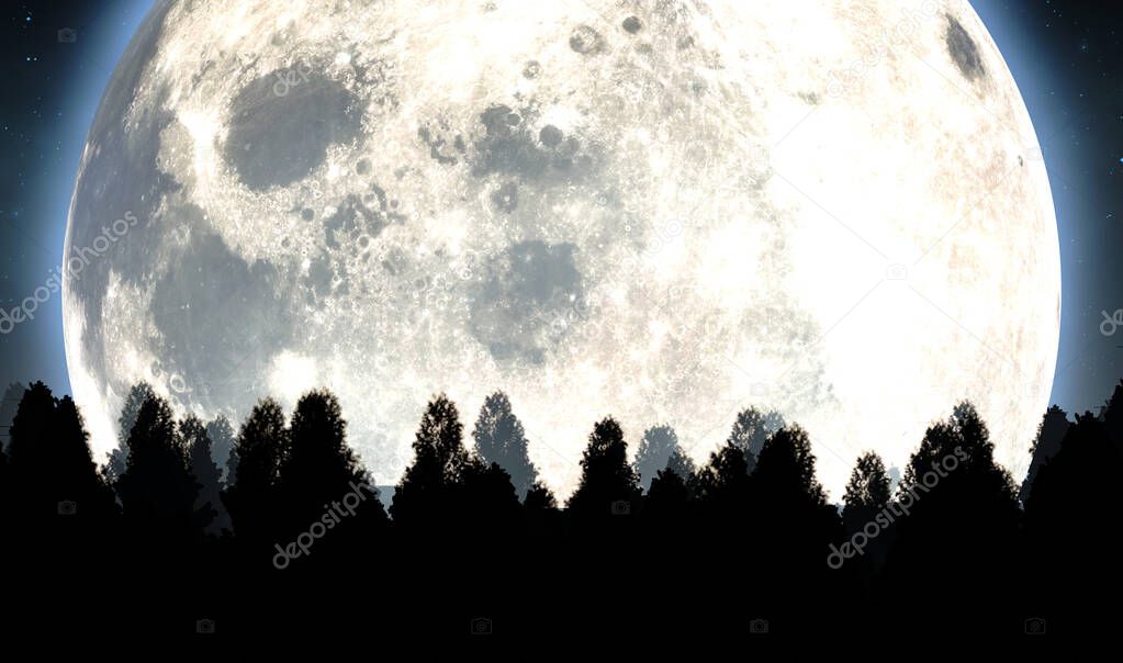 Full Moon Above The Tree Tops 