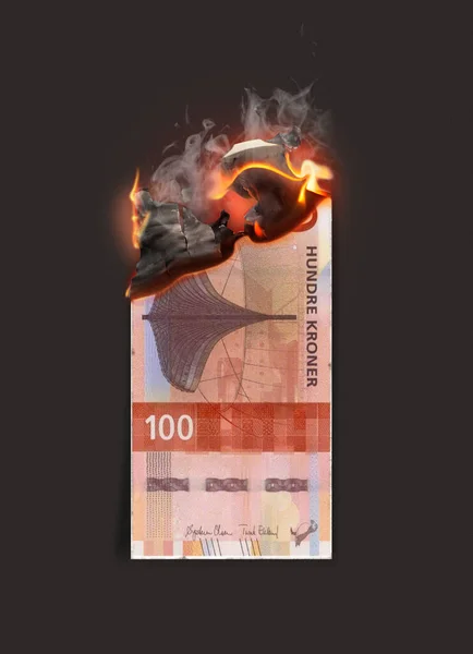 Концептуальное Изображение Показывающее Полуобгоревшую Плоскую Бумажную Банкноту Которая Горит Темном — стоковое фото