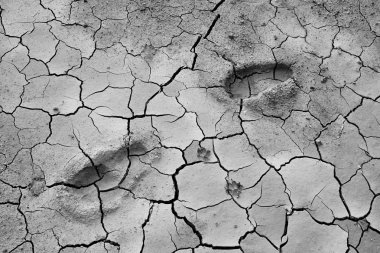 Yere ayrıntılarını Toprak çatlaklar. Topraktaki nem eksikliği nedeniyle, kurutulmuş kil özellikleri ayrılır. Kuraklık üzerinde toprak ve su koruma.
