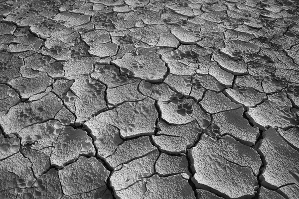 Részletek Föld Repedések Talajban Hiánya Miatt Nedvesség Talajban Dehidratált Agyag — Stock Fotó